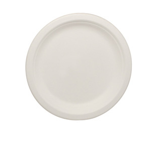 eco-friendly bagasse plates