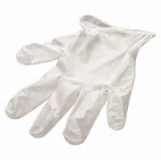 Vinyl Gloves